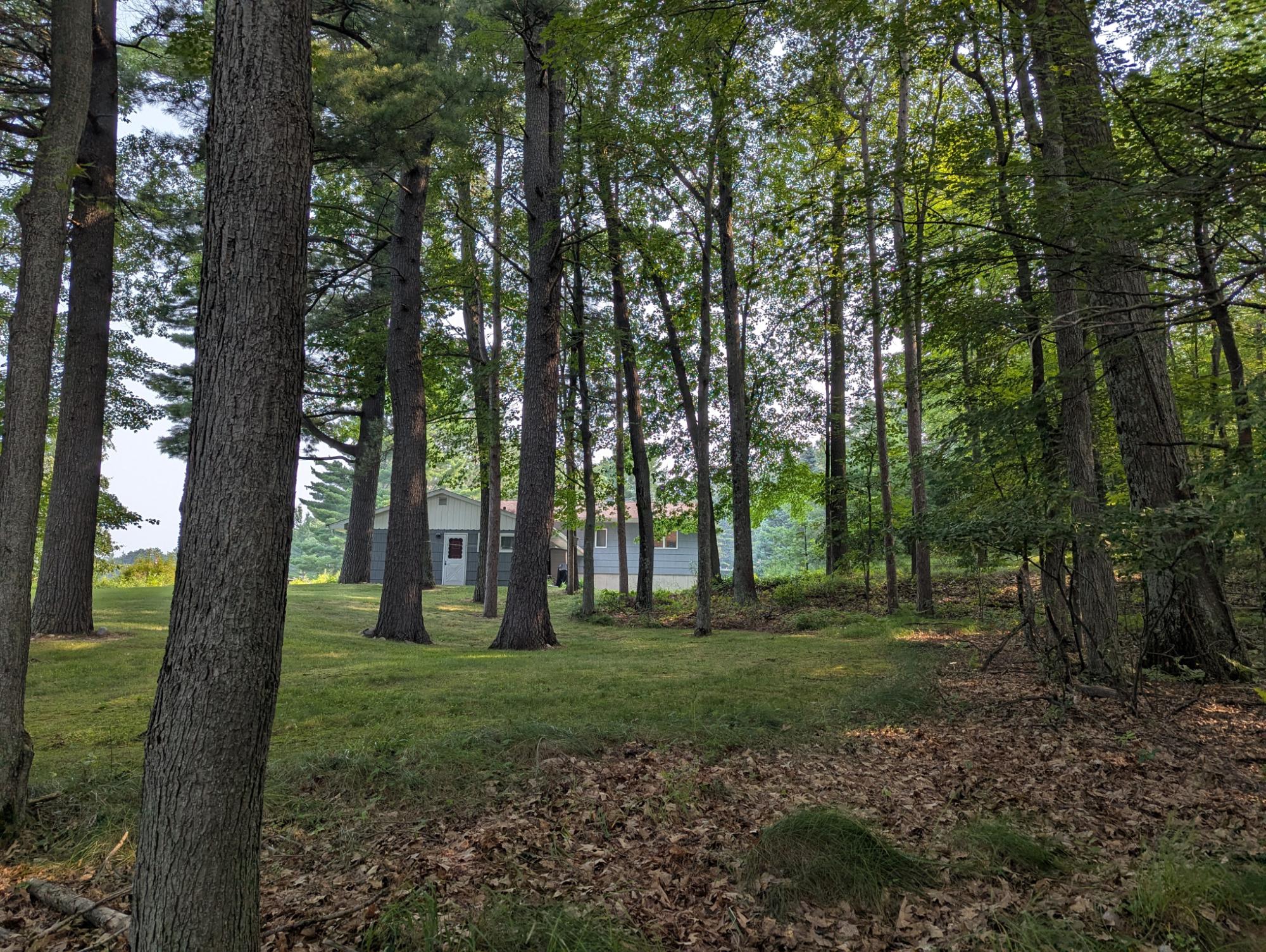 Squash Lake Property 7010 Long Lake Rd Photo 17