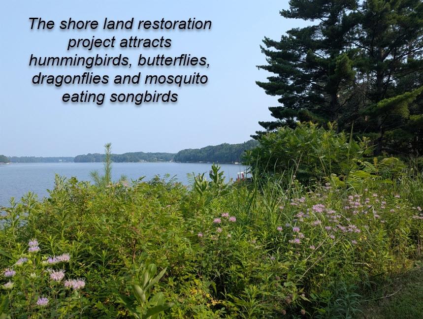 Squash Lake Property 7010 Long Lake Rd Photo 20