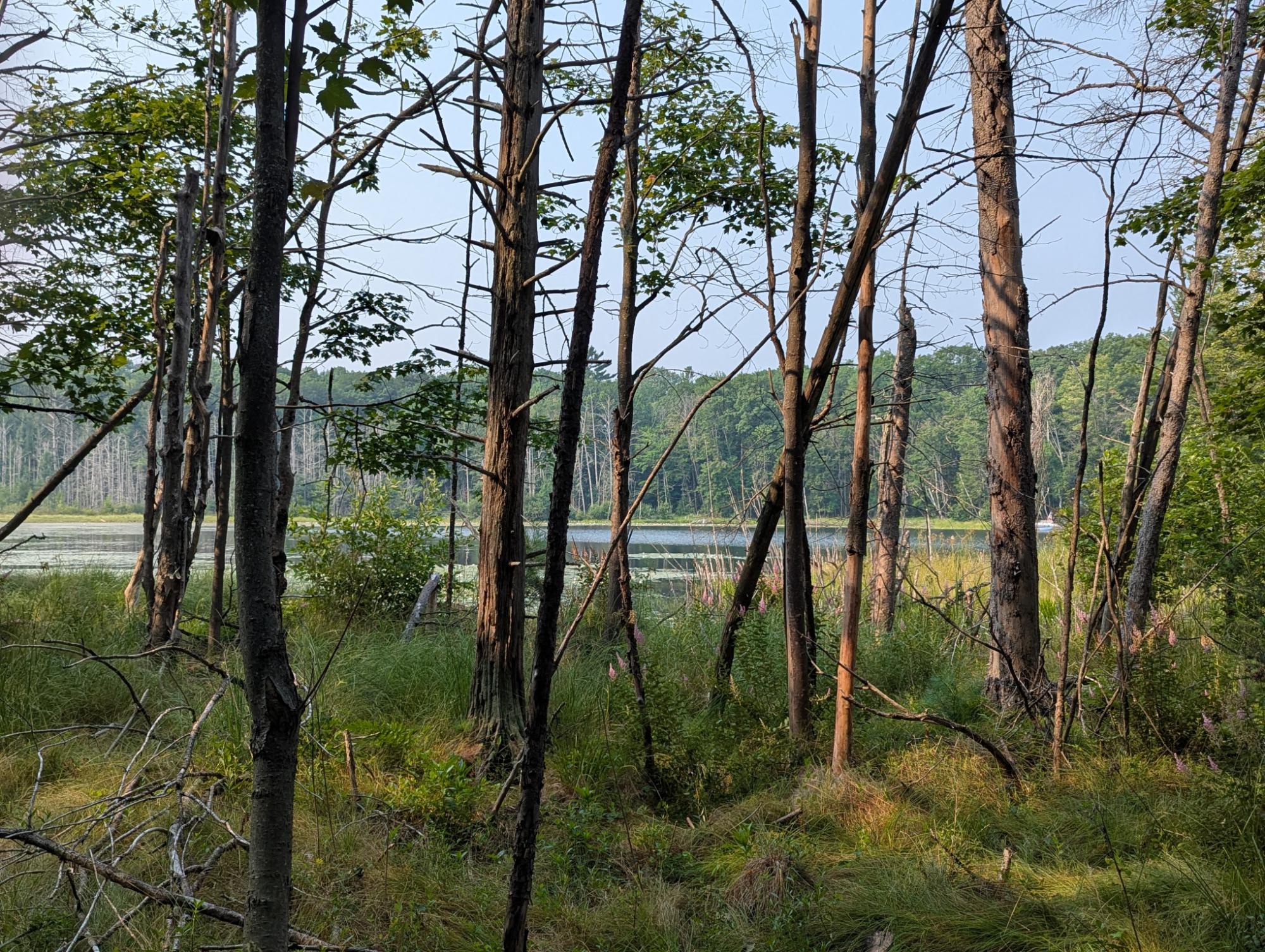 Squash Lake Property 7010 Long Lake Rd Photo 24