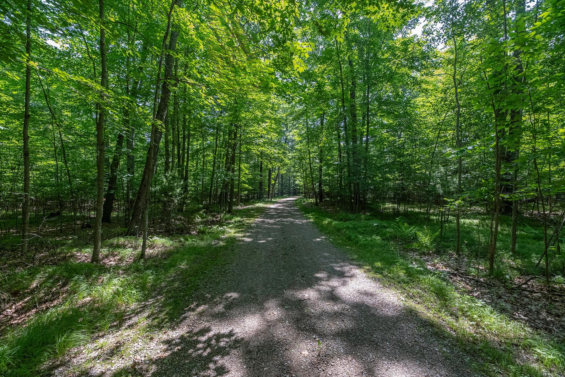 Squash Lake Property 7010 Long Lake Rd Photo 37