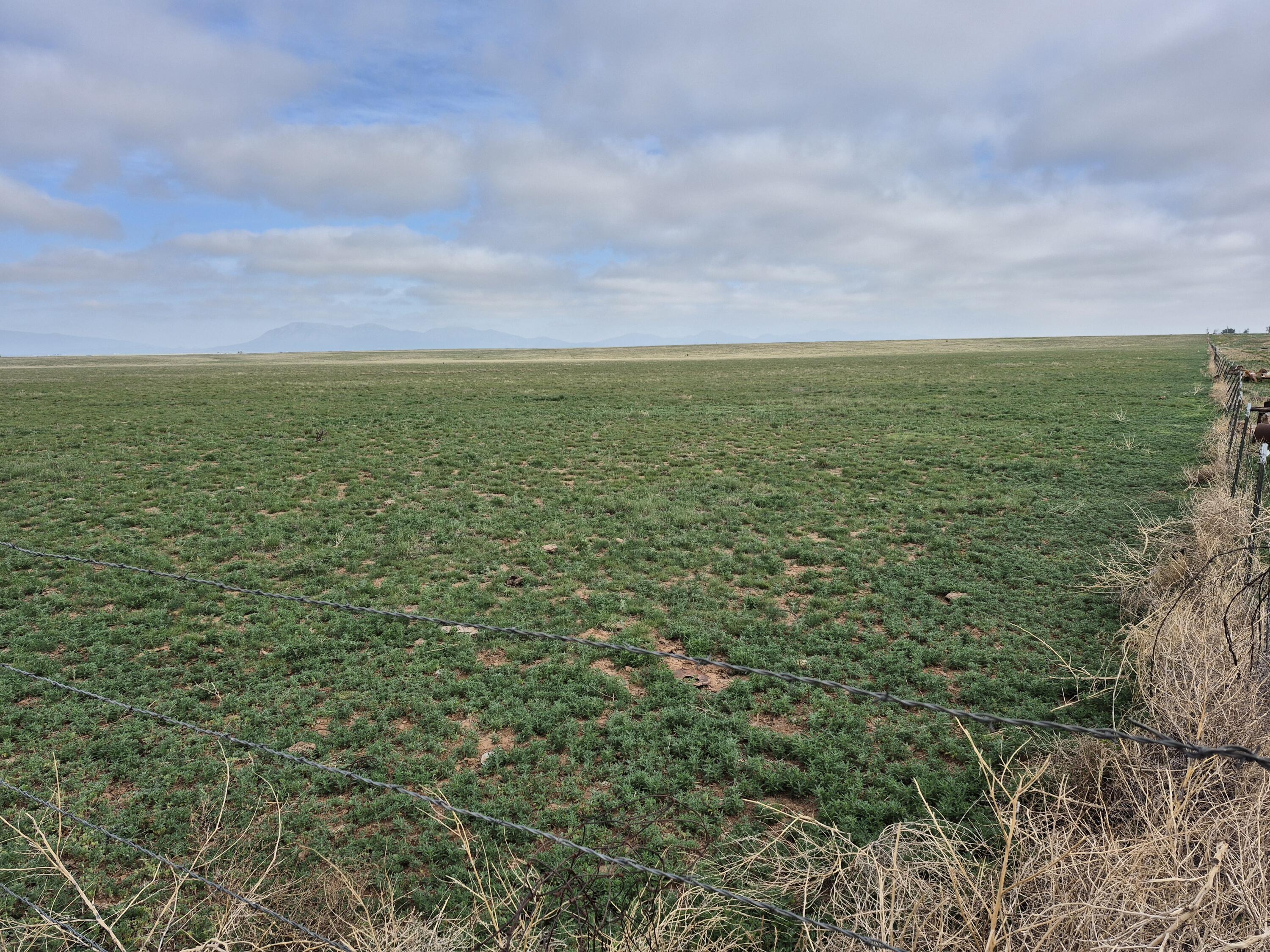 Homes for sale in Stanley, NM | (Undisclosed), Stanley, NM 87056 | MLS# 1087224