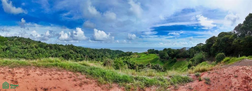 0 bed Land For Sale in Osa, Puntarenas - 1