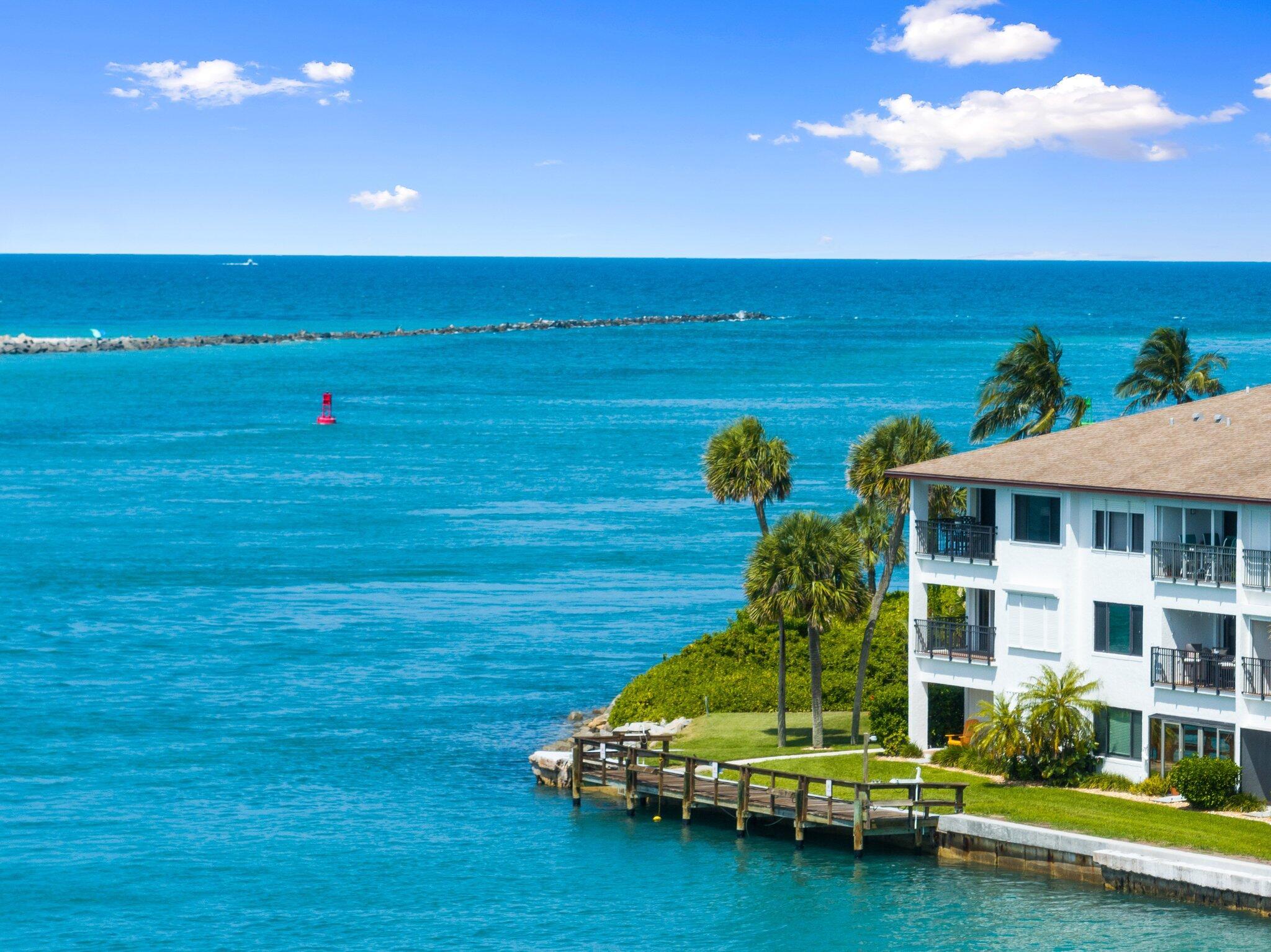 Sea Tern Of Hutchinson Is