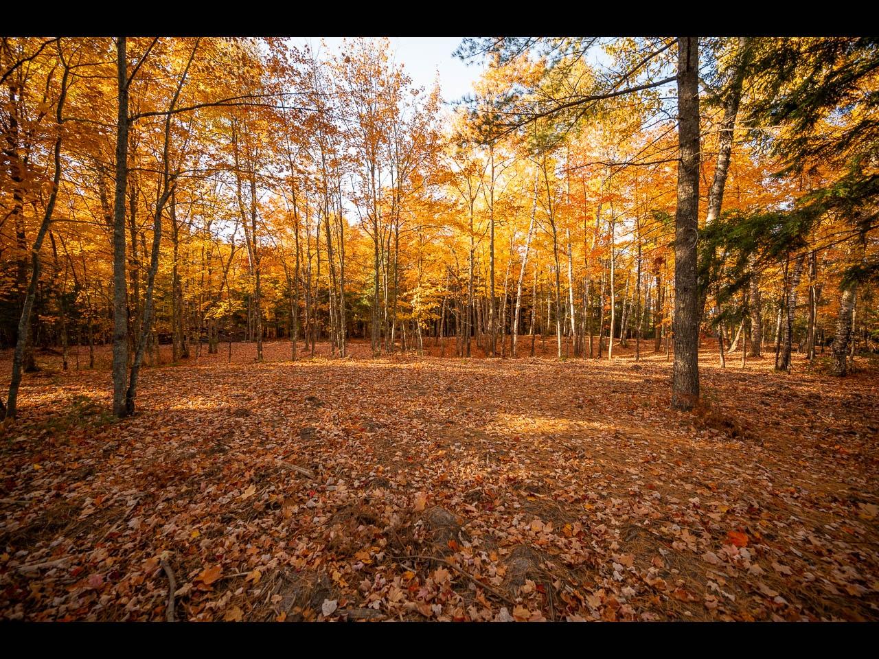 Clearwater Lake Property Lot 135 Clearwater Lake Tr Photo 2