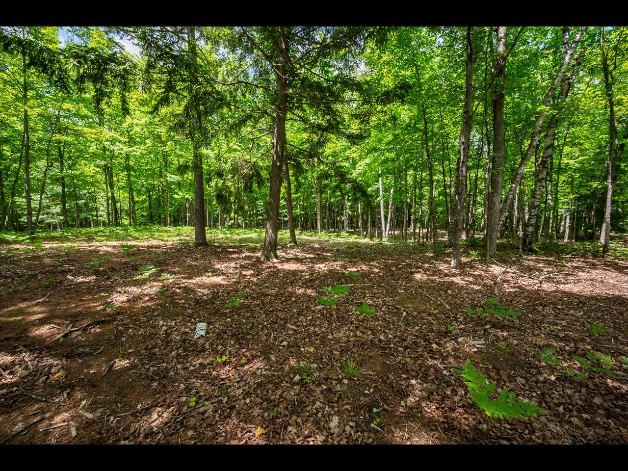 Clearwater Lake Property Lot 135 Clearwater Lake Tr Photo 5