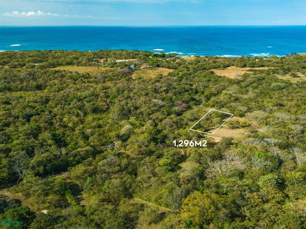 Orchards of Playa Blanca , Veintisiete de Abril, Guanacaste