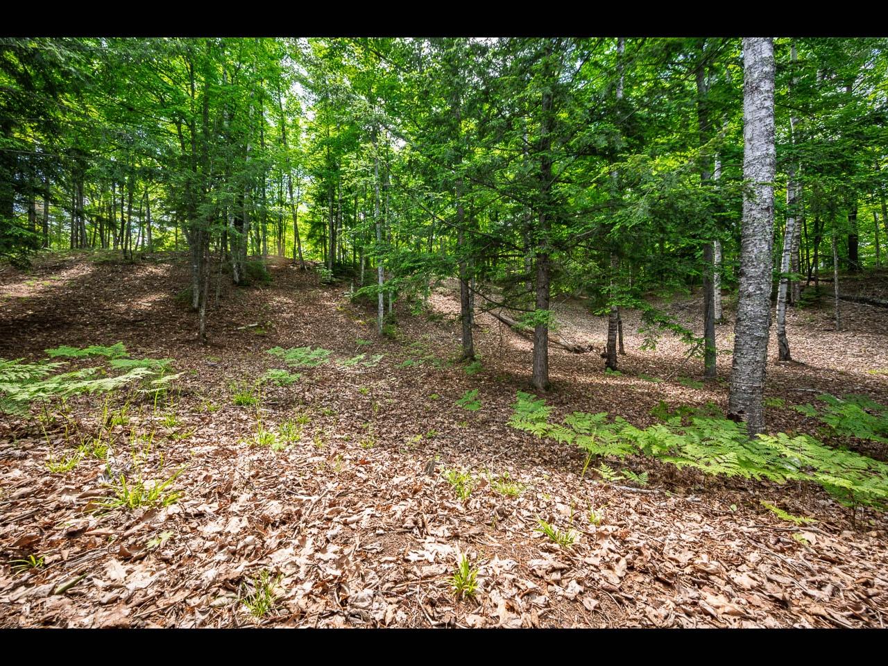 Clearwater Lake Property Lot 136 Clearwater Lake Tr Photo 6