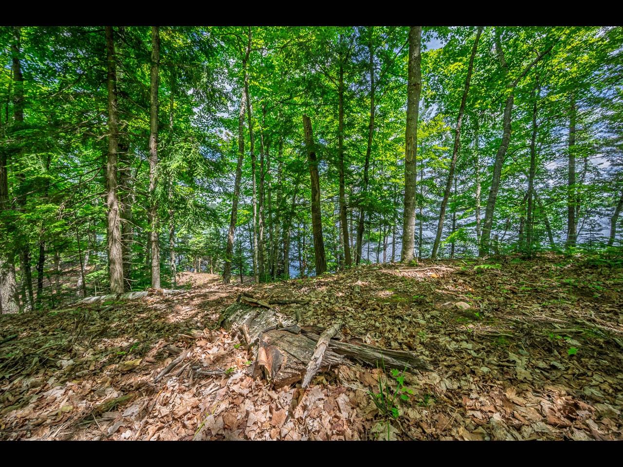 Clearwater Lake Property Lot 136 Clearwater Lake Tr Photo 8