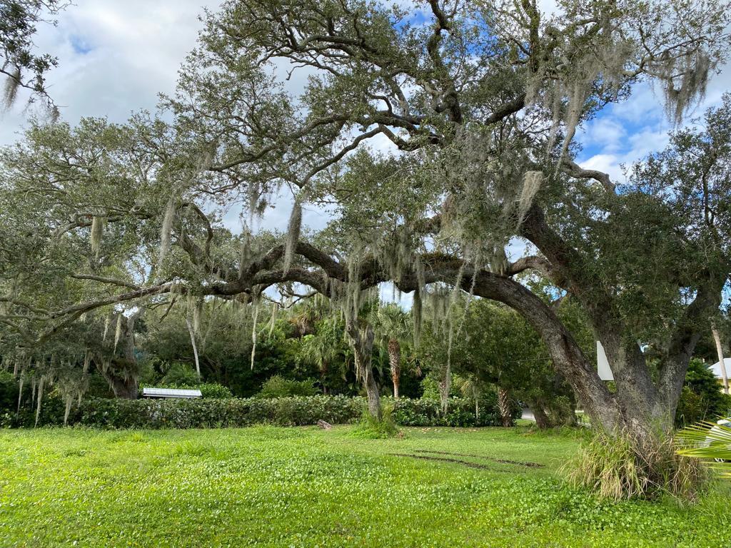 Homes for sale in Vero Beach, FL | 355 Cathedral Oaks Dr, Vero Beach, FL 32963 | MLS# R11105126