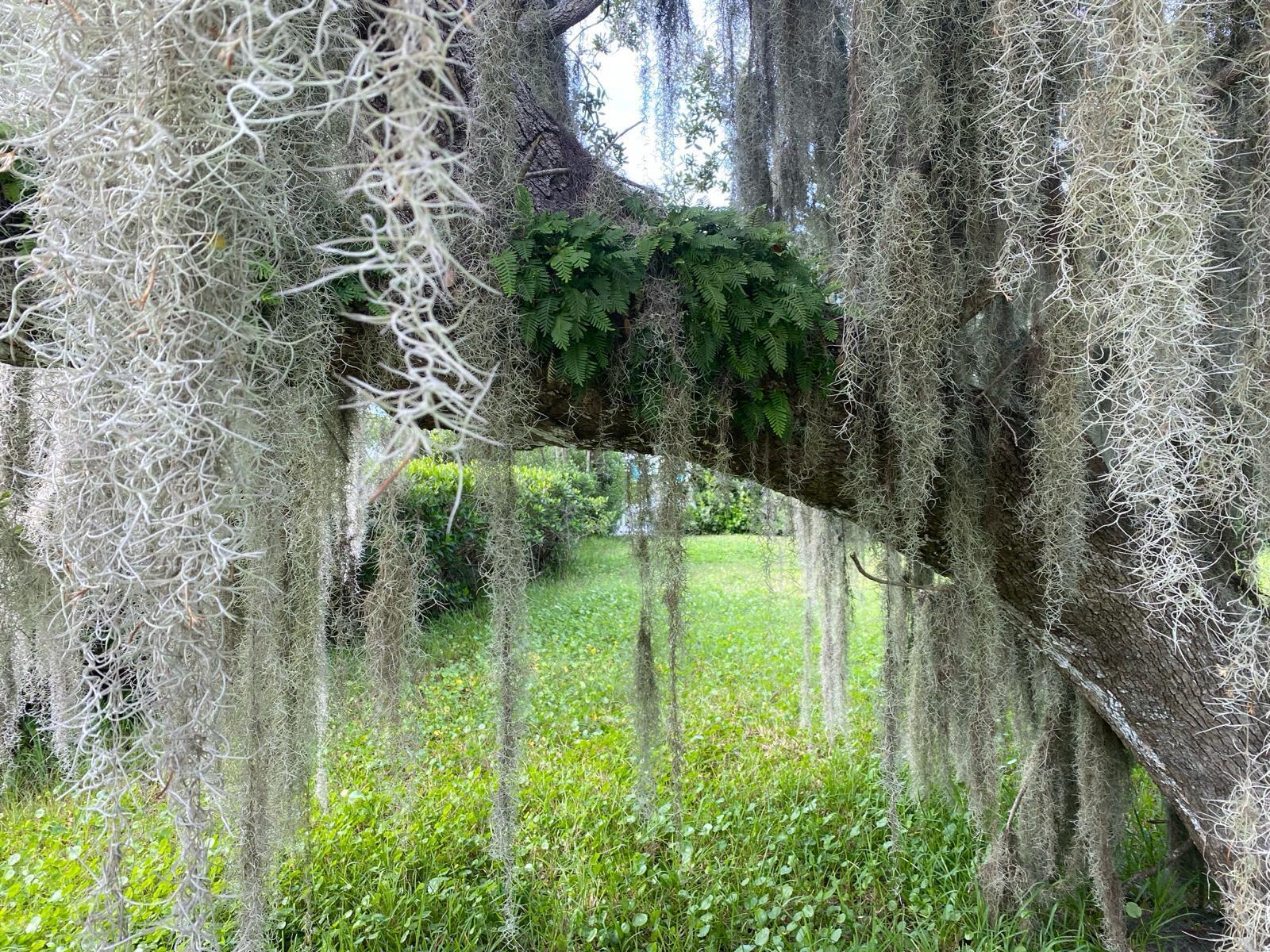 Homes for sale in Vero Beach, FL | 355 Cathedral Oaks Dr, Vero Beach, FL 32963 | MLS# R11105126