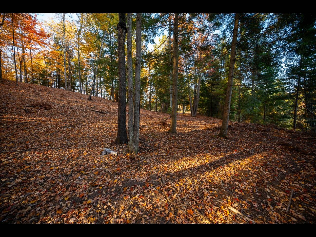 Clearwater Lake Property Lot 137 Clearwater Lake Tr Photo 3