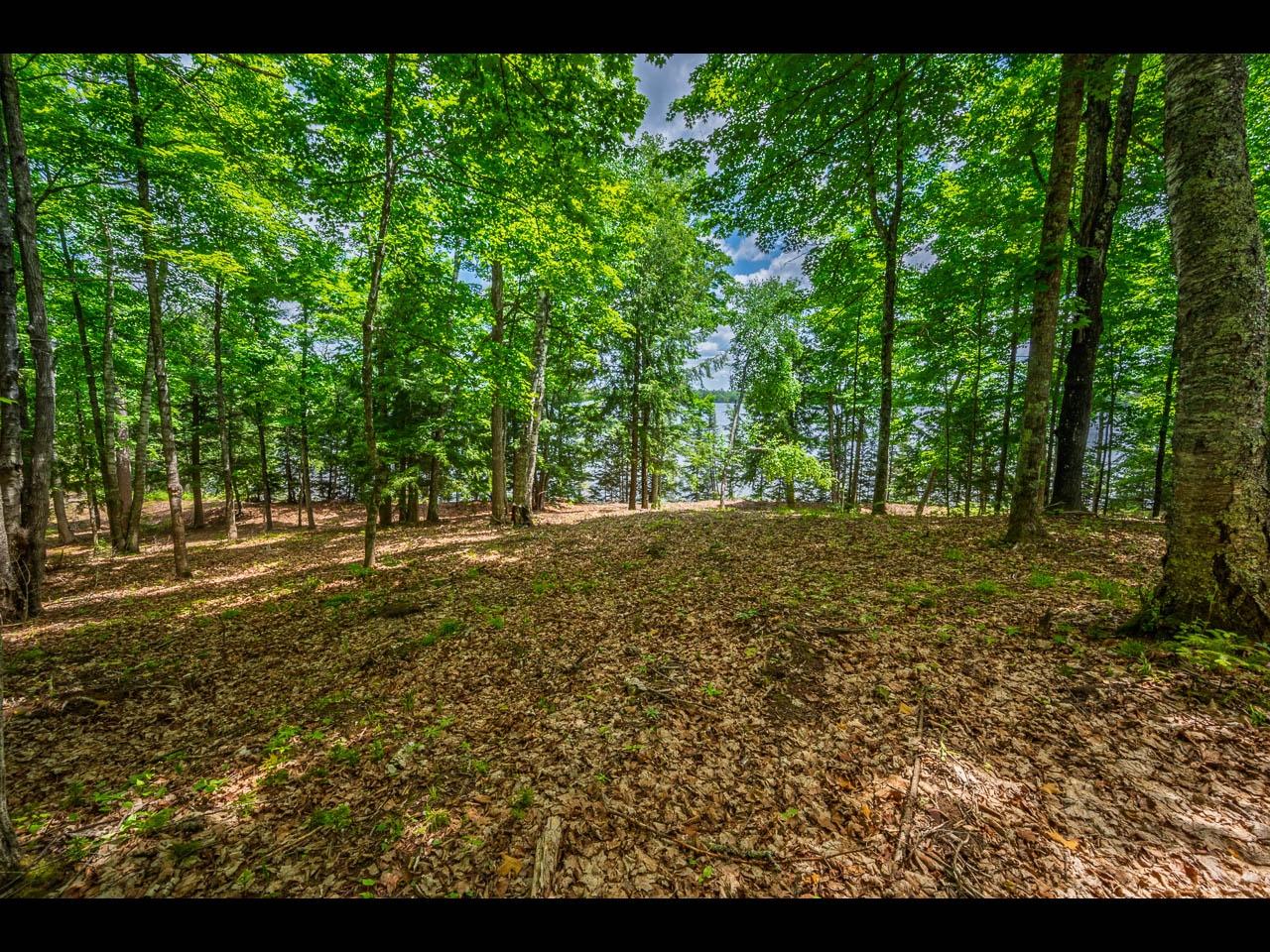 Clearwater Lake Property Lot 137 Clearwater Lake Tr Photo 9