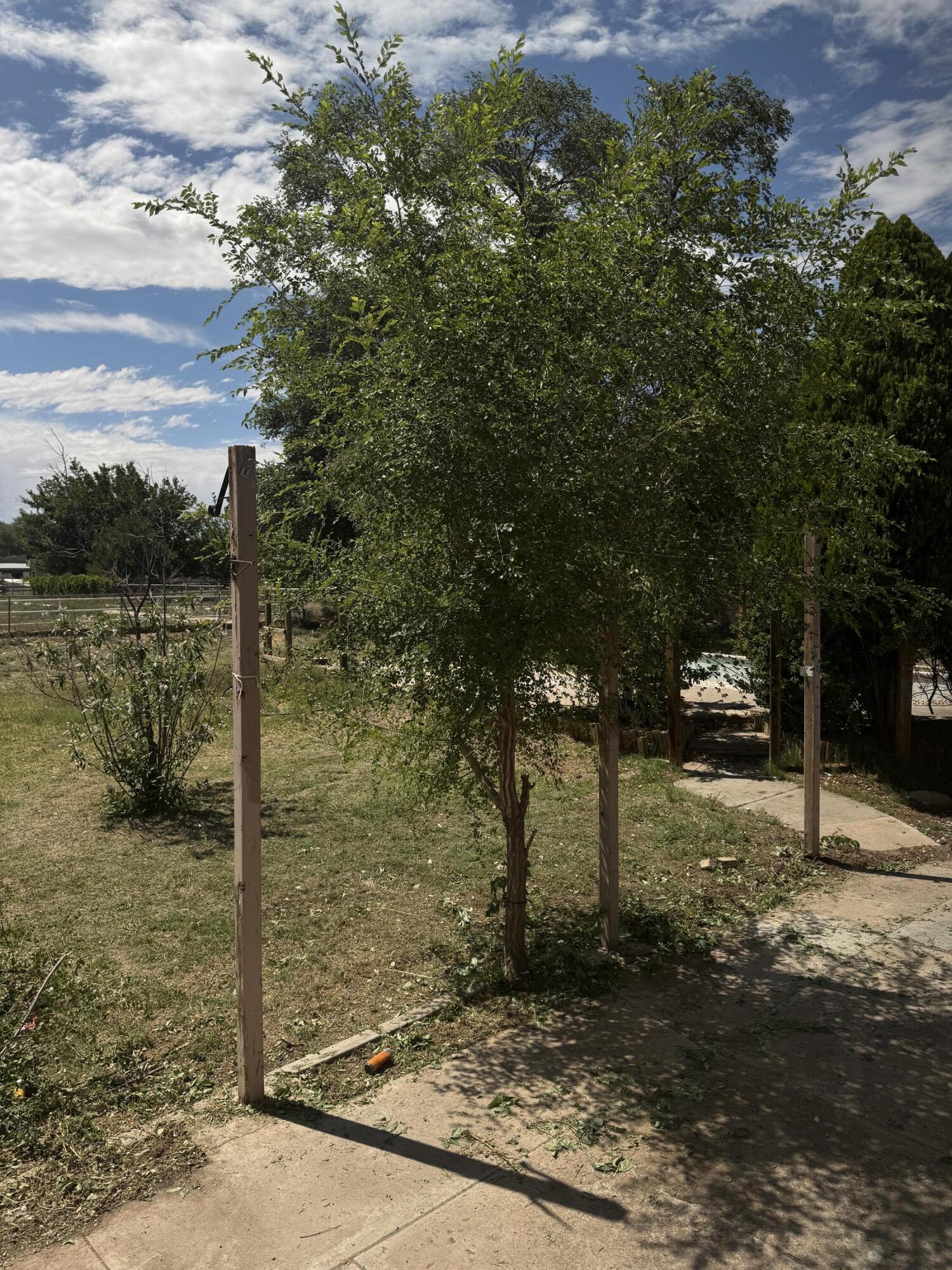 Homes for sale in Belen, NM | 515 S Third St, Belen, NM 87002 | MLS# 1087410