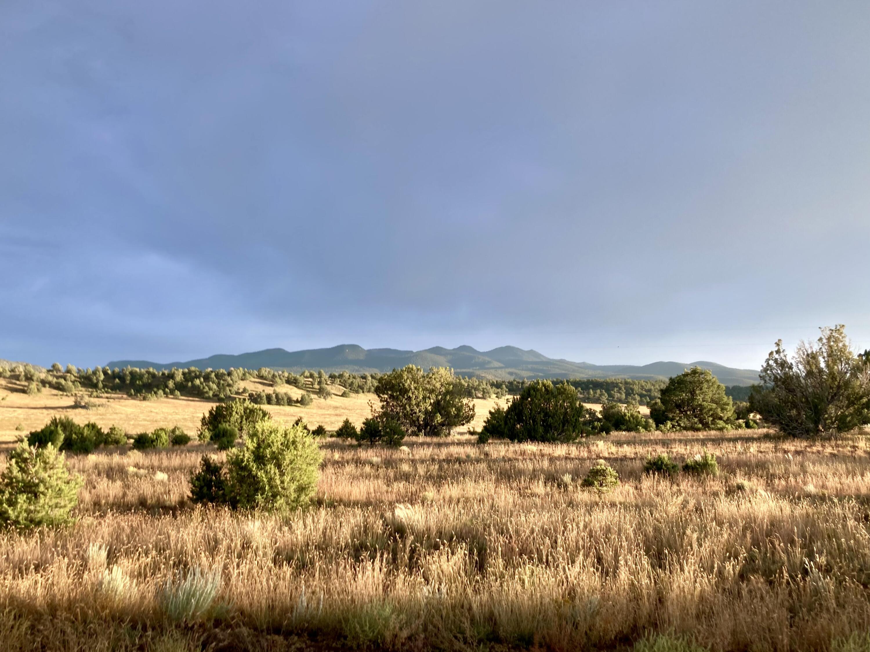 Homes for sale in Datil, NM | 278 Thomas Iv Rd, Datil, NM 87821 | MLS# 1087412