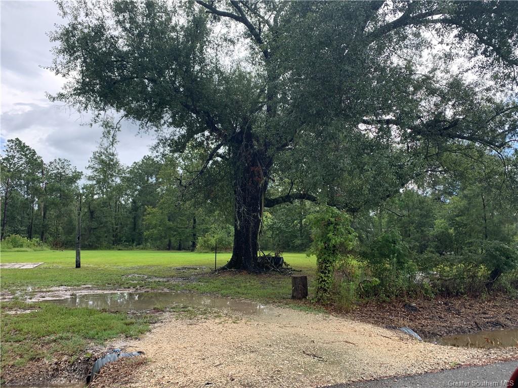 0 Brahman Drive — photo 3