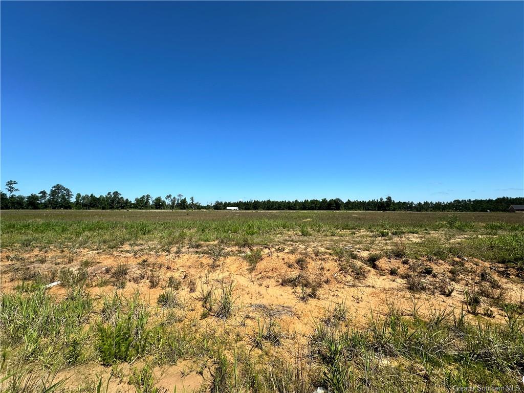 0 Calla Lily Drive — photo 2
