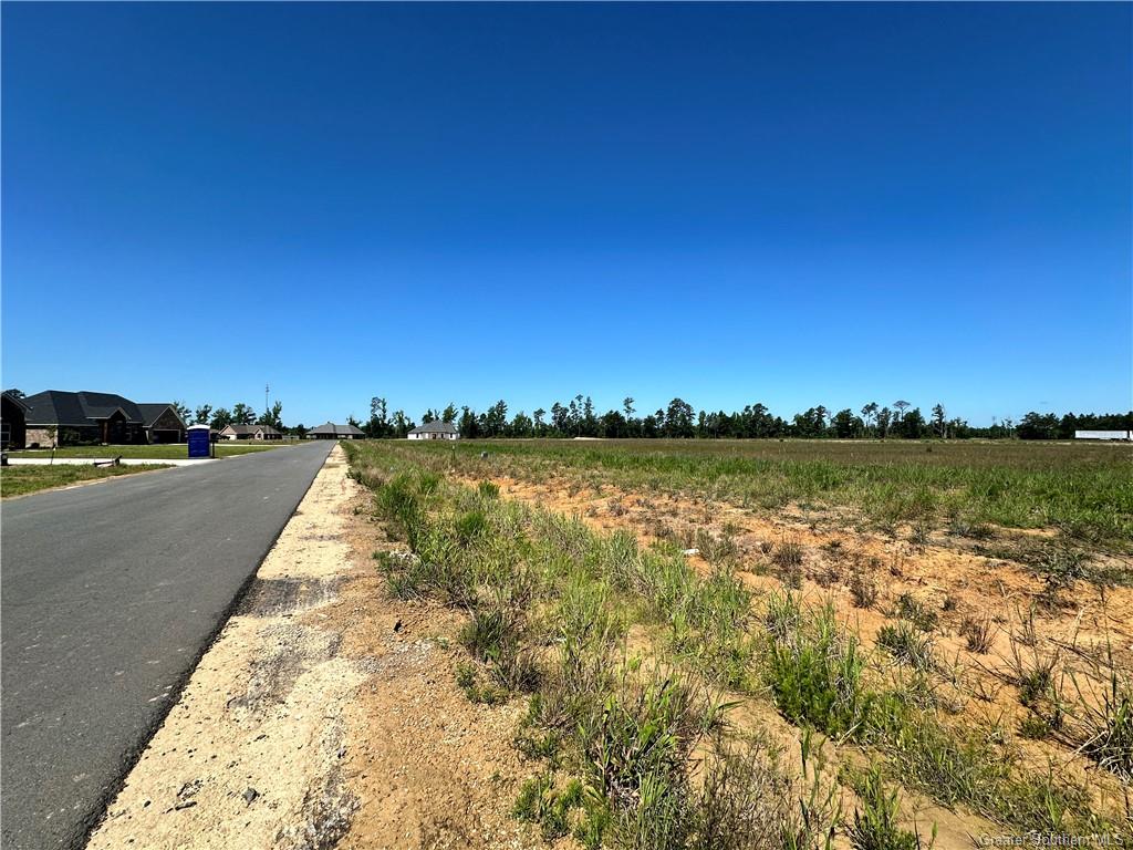 0 Calla Lily Drive — photo 4
