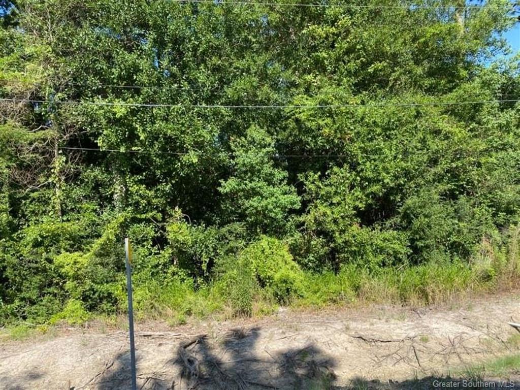 Ravenhurst Drive — photo 4