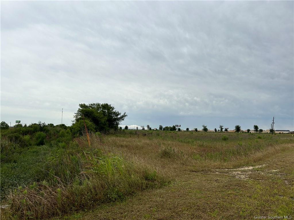 Louisiana Cotton Drive — photo 2