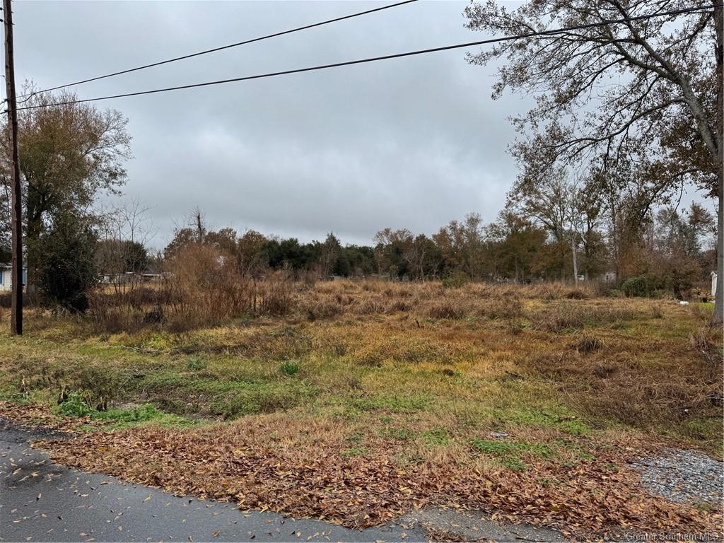 725 Murbelle Road — photo 3