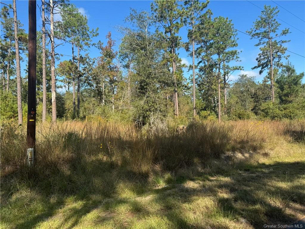 0 Ruth Drive — photo 3