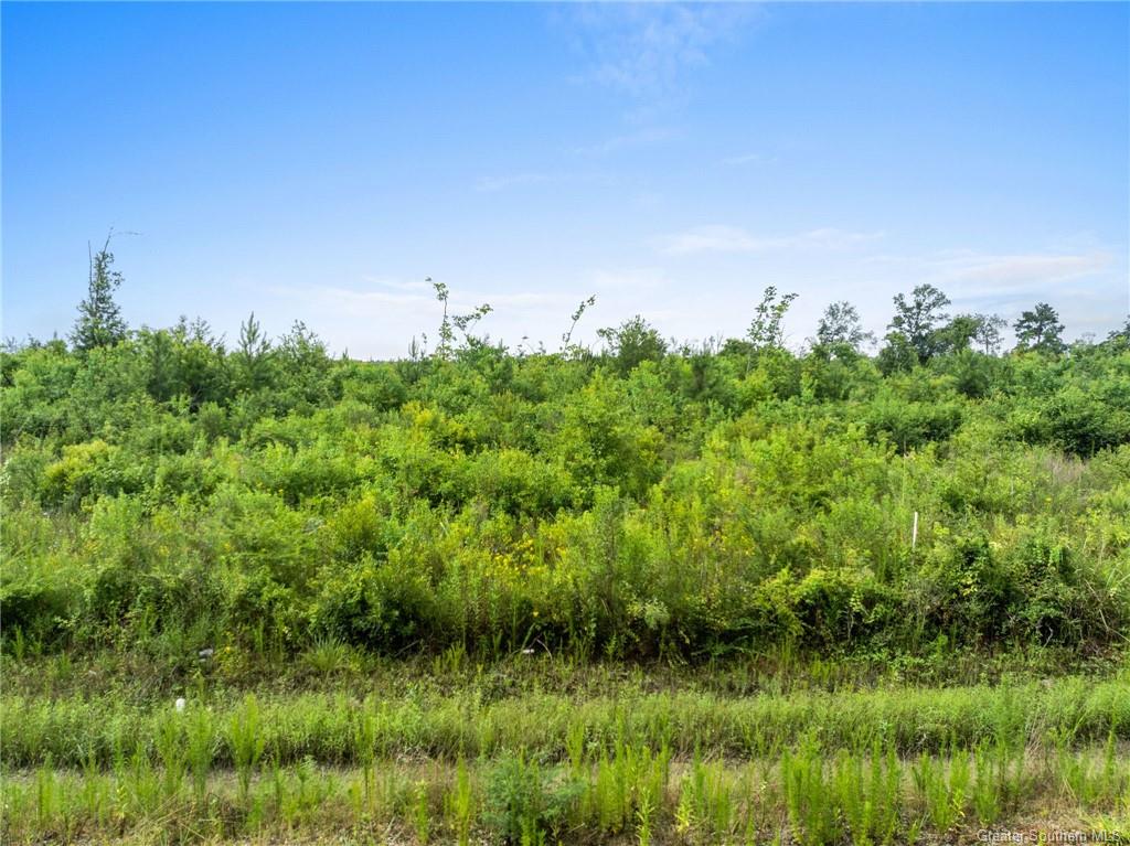 10 Abie Fontenot Road — photo 4