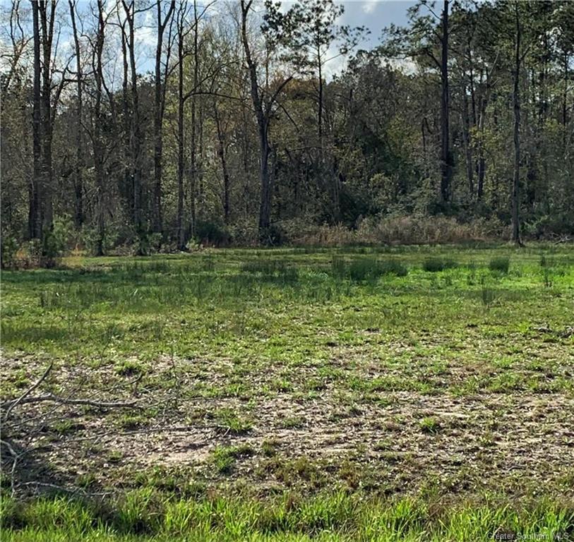 Isla Veda Drive — photo 3