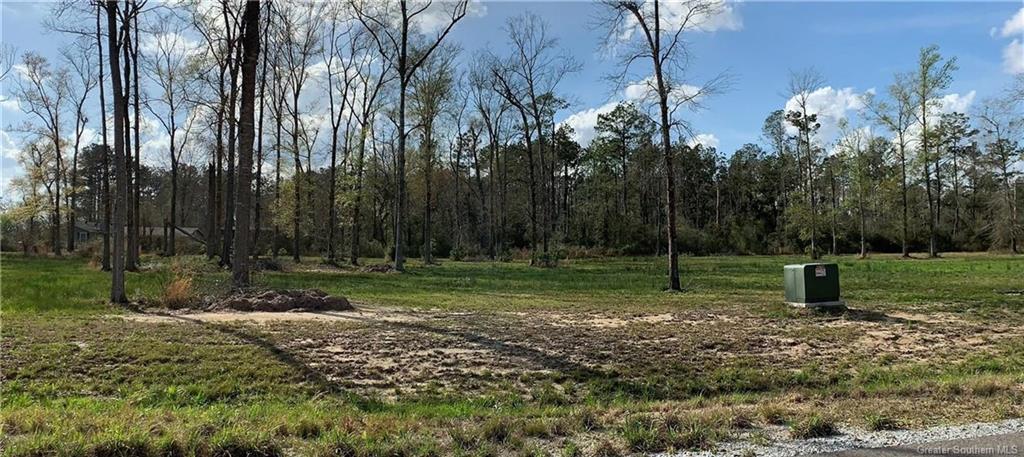 Isla Veda Drive — photo 4