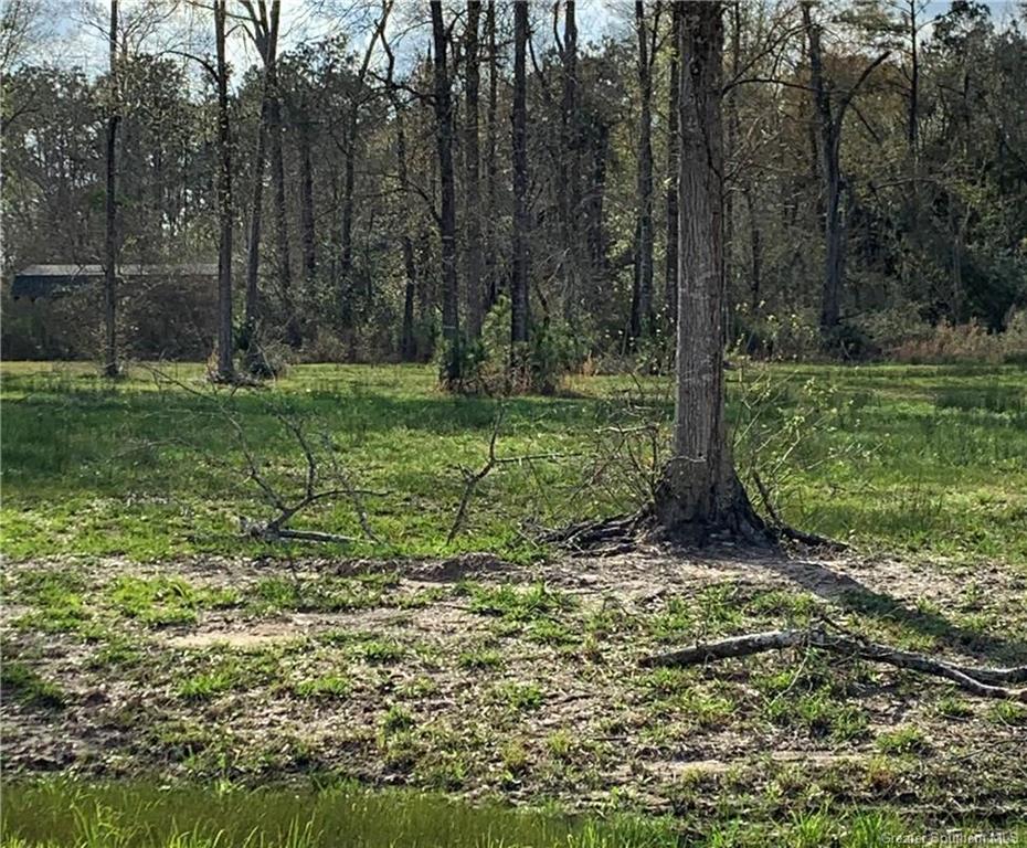 Isla Veda Drive — photo 5