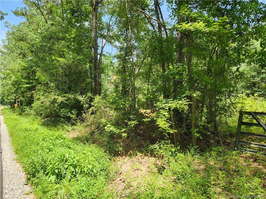 0 Parish Line Road — photo 4