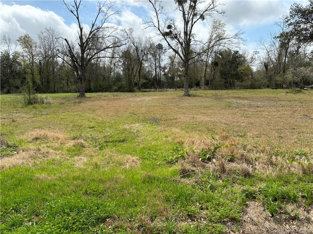 4 Fred Istre Road — photo 4