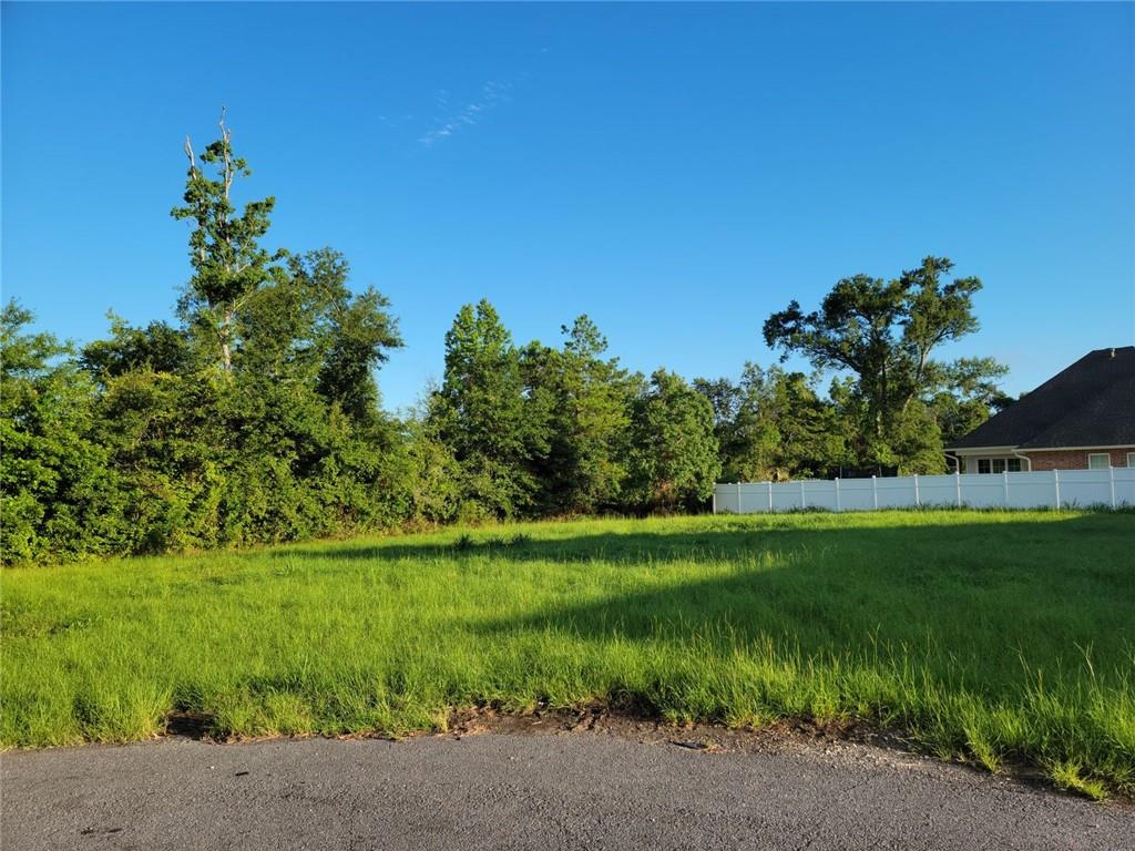 W Eagle's Nest Drive — photo 2
