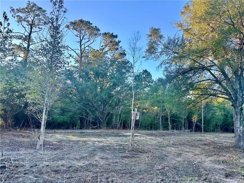 0 Tate Road — photo 3