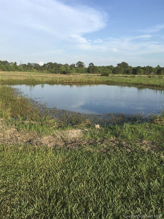 330 Hwy 165 Highway — photo 4
