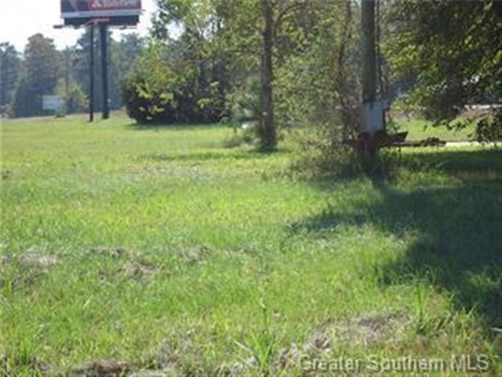 1198 N HWY 171 N Highway — photo 2