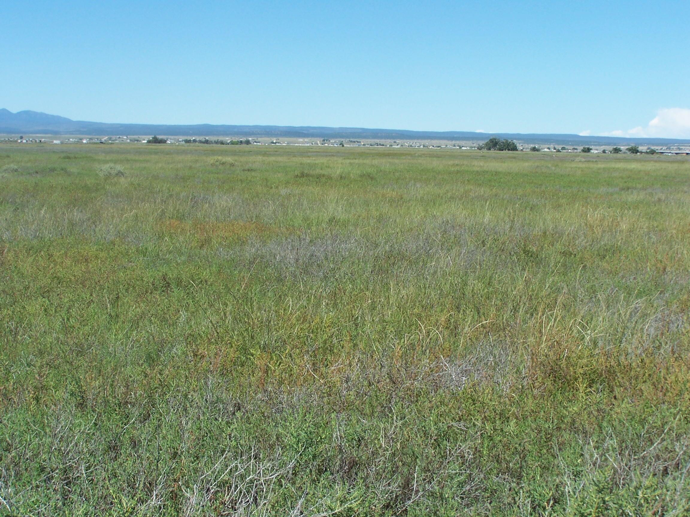 Homes for sale in Mc Intosh, NM | C Del Sol A081/mulberry A146, Mc Intosh, NM 87032 | MLS# 1087449