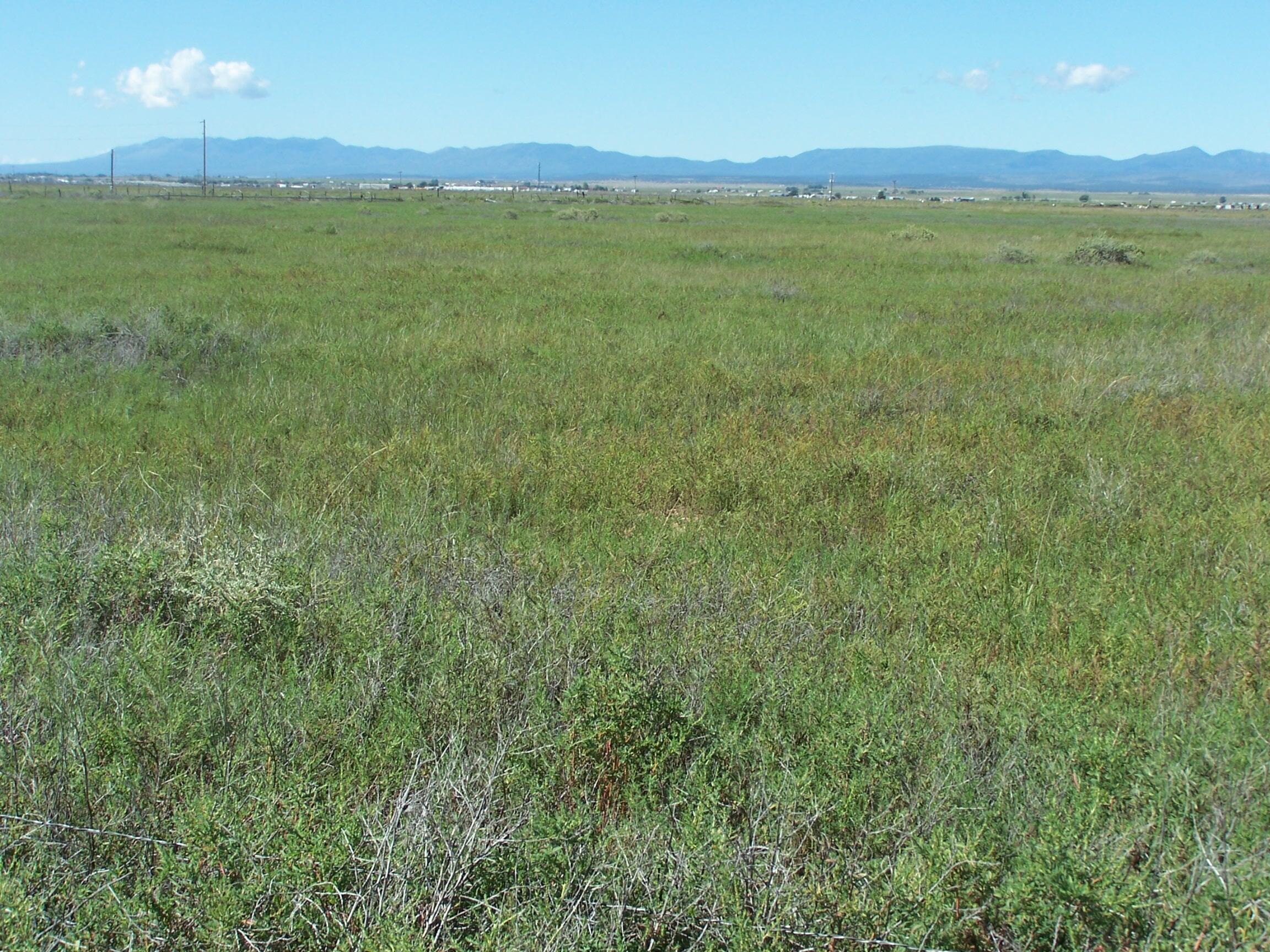 Homes for sale in Mc Intosh, NM | C Del Sol A081/Mulberry A146, Mc Intosh, NM 87032 | MLS# 1087449