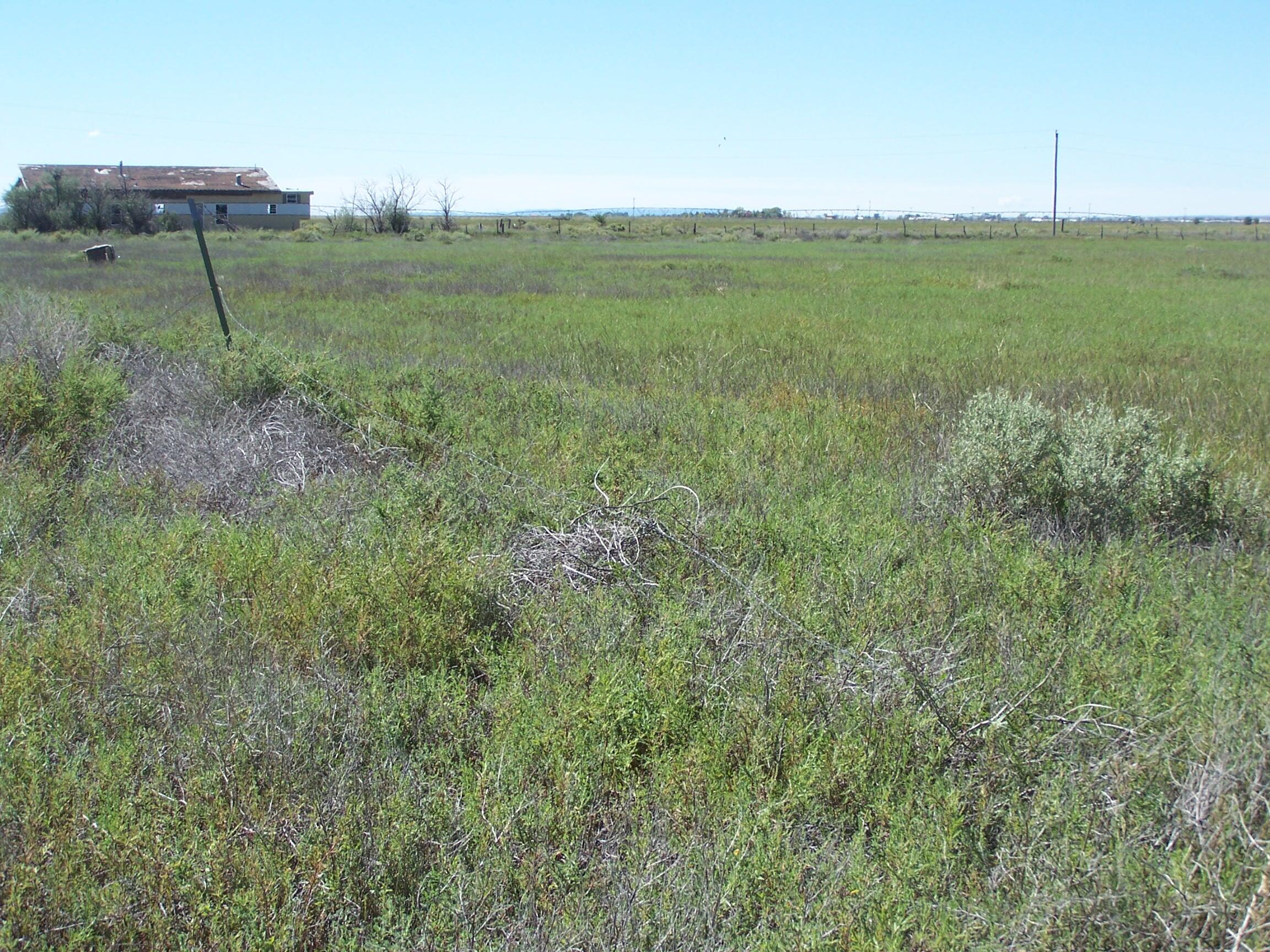 Homes for sale in Mc Intosh, NM | C Del Sol A081/Mulberry A146, Mc Intosh, NM 87032 | MLS# 1087449