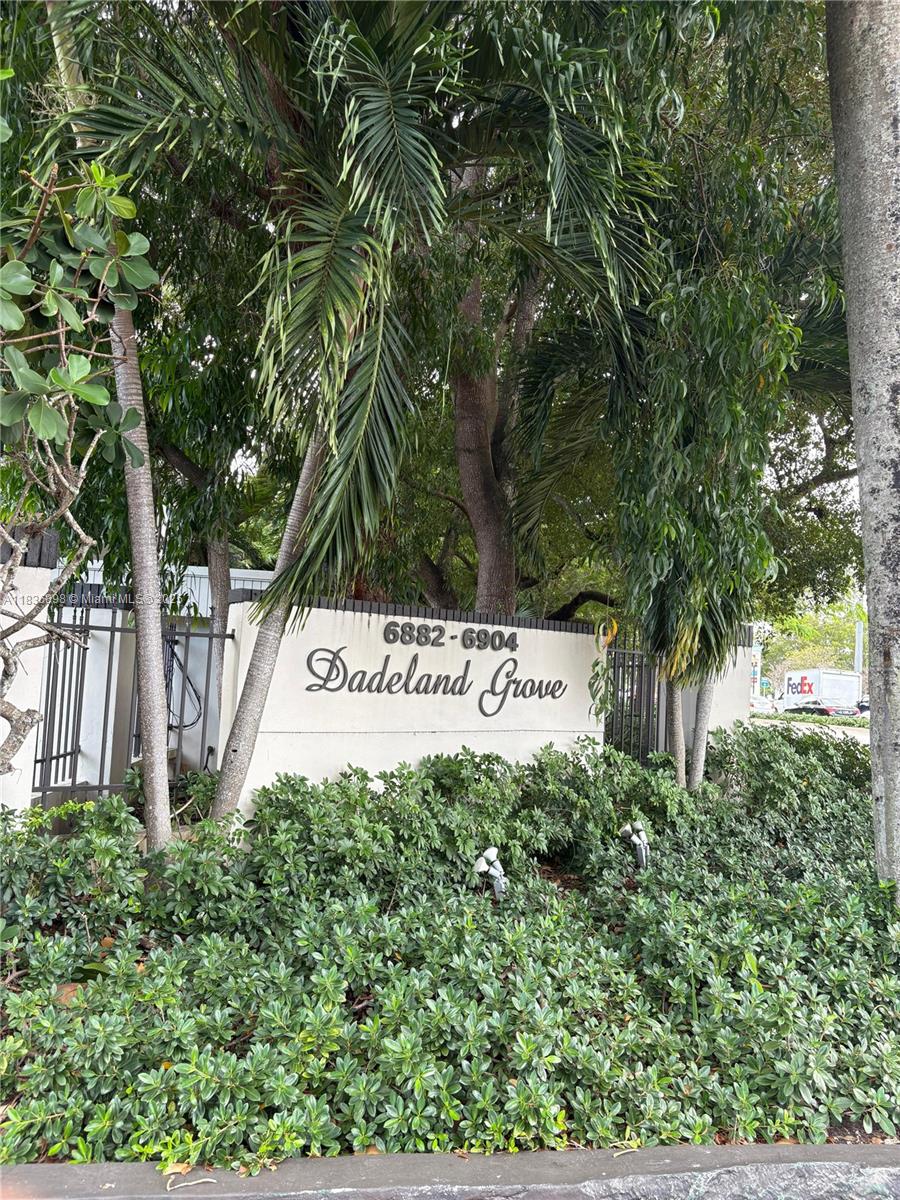 Dadeland Grove Condo