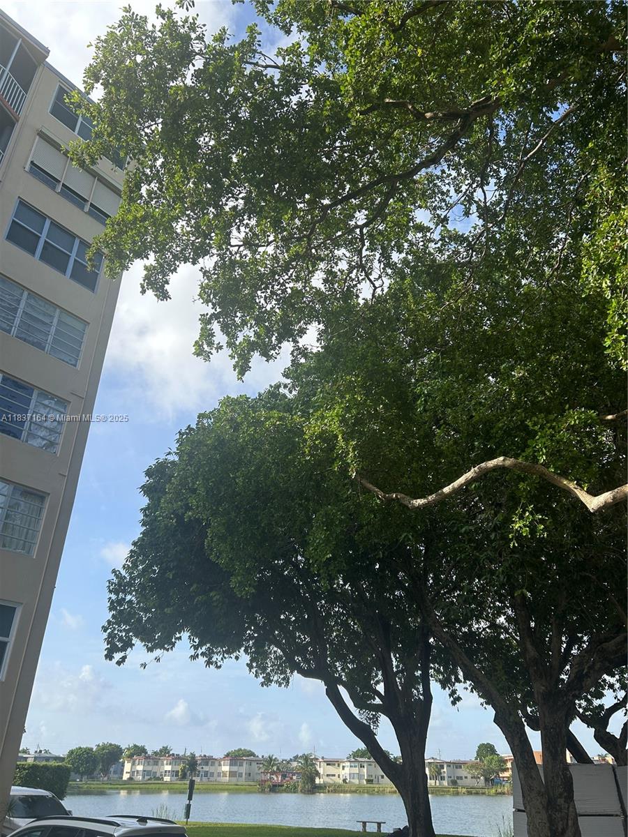 Jade Winds Group-Daisy Ga