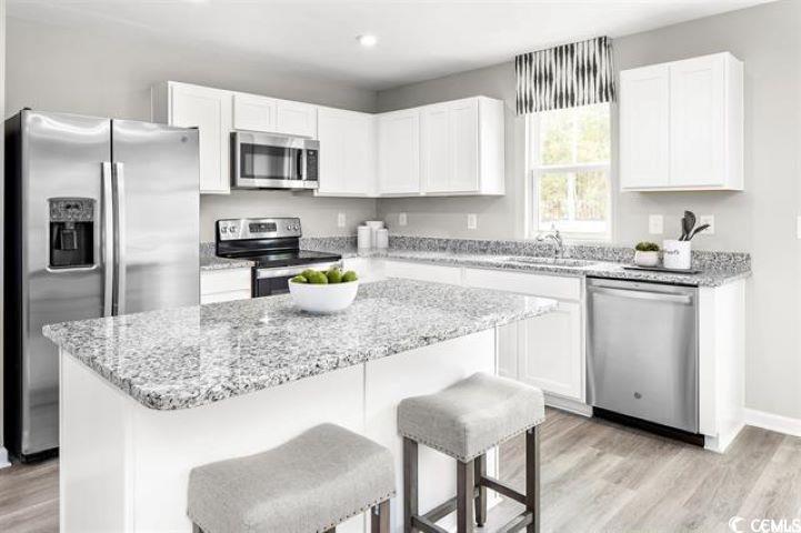 336 Myrtle Meadows Dr UNIT 463C Conway, SC 29526