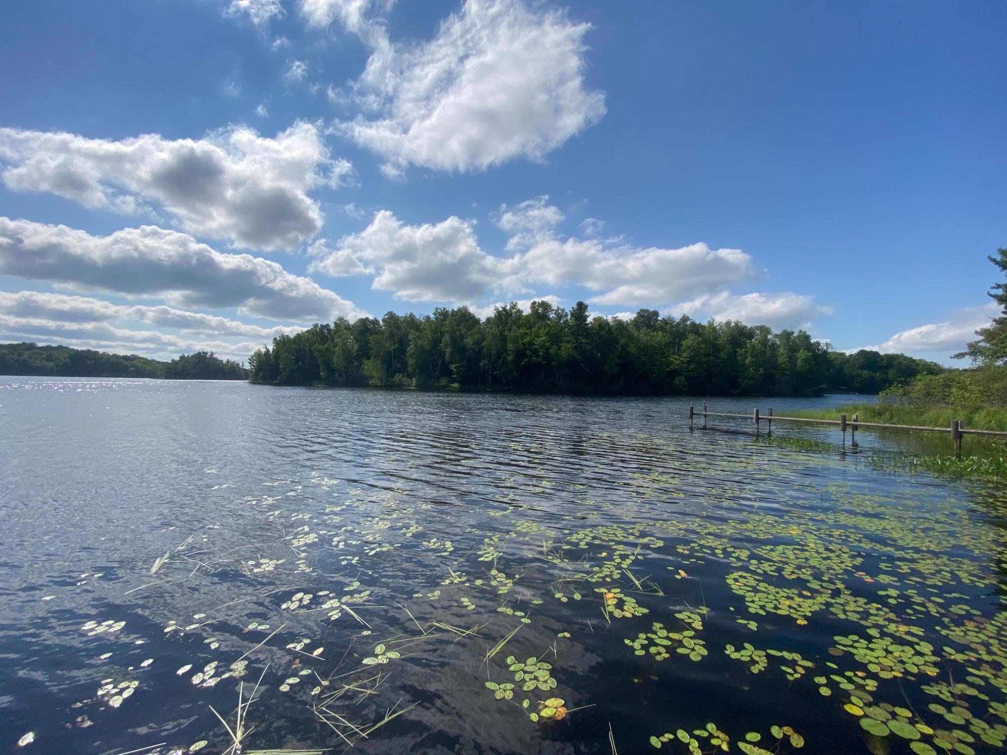 Oxbow Lake Property 8195 Bay Rd E Photo 35