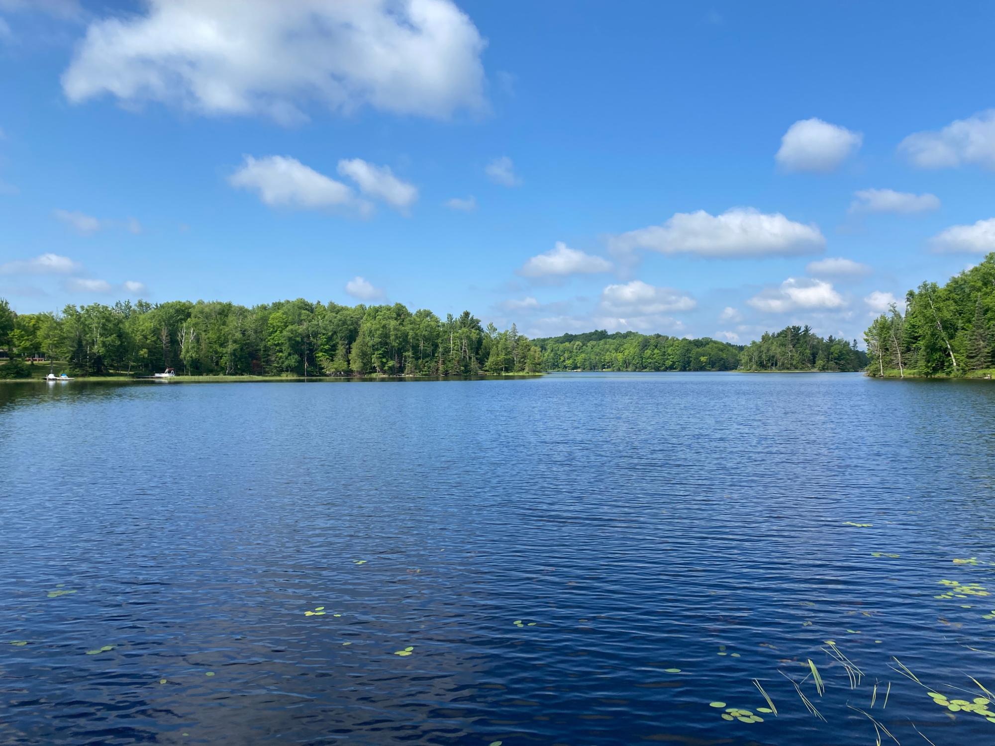 Oxbow Lake Property 8195 Bay Rd E Photo 9