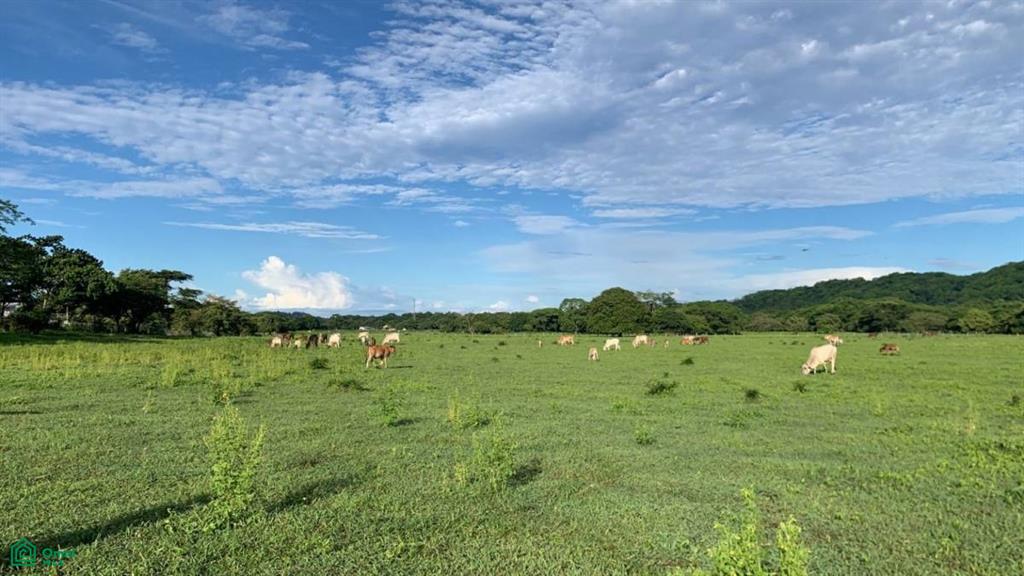 0 bed Land For Sale in Santa Cruz, Guanacaste - 1