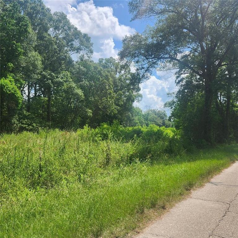 Homes for sale in Denham Springs, LA | Calmes Rd, Denham Springs, LA 70706 | MLS# 2511255