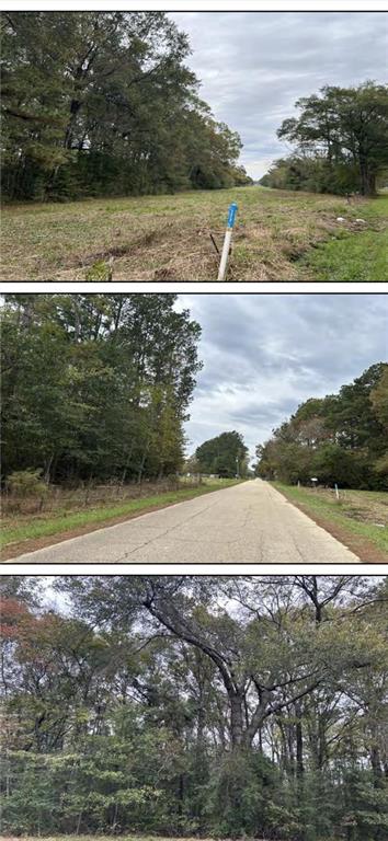 Homes for sale in Denham Springs, LA | Calmes Rd, Denham Springs, LA 70706 | MLS# 2511255