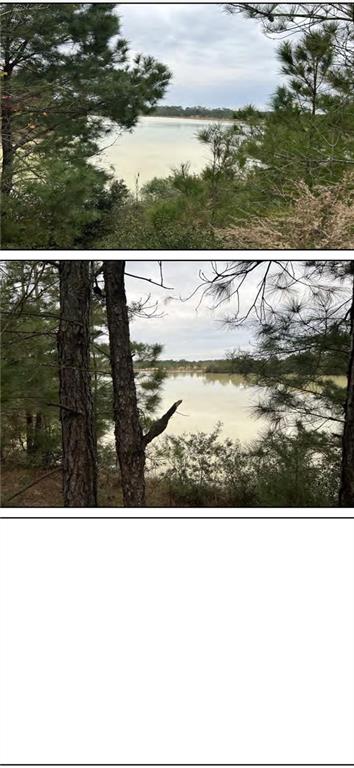 Homes for sale in Denham Springs, LA | Calmes Rd, Denham Springs, LA 70706 | MLS# 2511255