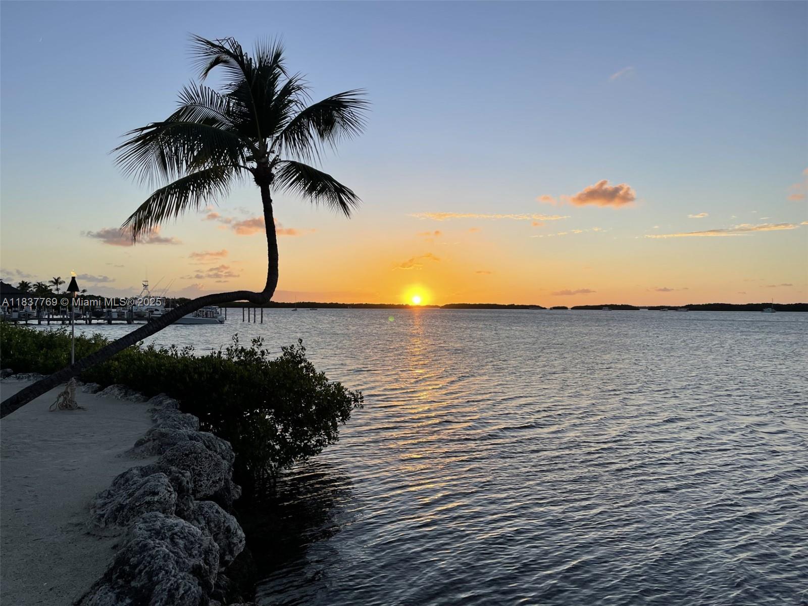 Plaza Of Americas Condo P