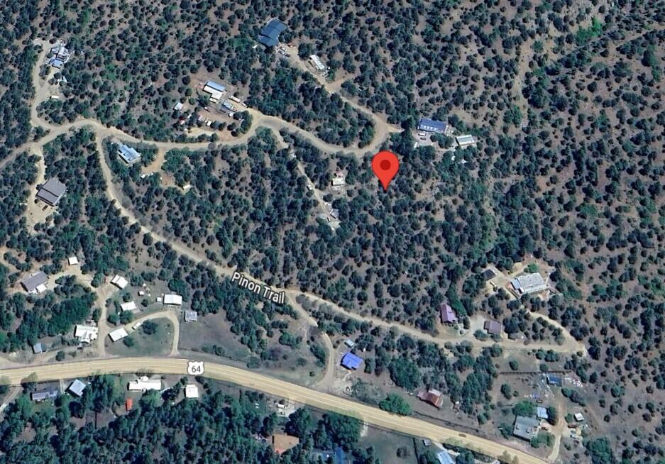 Photo 6 —  Pinon Trail