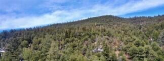 Homes for sale in Taos, NM | Pinon Trail, Taos, NM 87571 | MLS# 1087611
